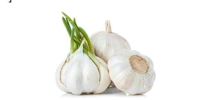 Garlic and health